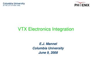 VTX Electronics Integration