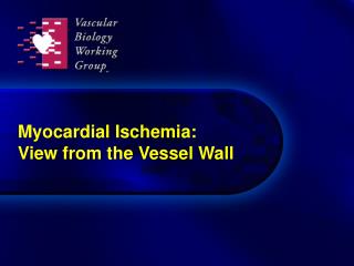 Myocardial Ischemia: View from the Vessel Wall