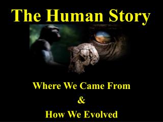 The Human Story