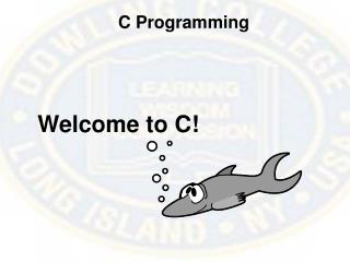 C Programming