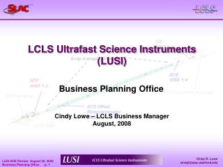 LCLS Ultrafast Science Instruments (LUSI)