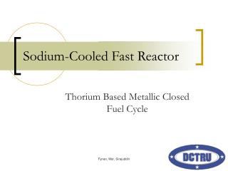 Sodium-Cooled Fast Reactor