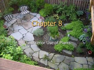 Chapter 8