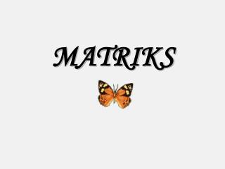 MATRIKS