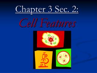 Chapter 3 Sec. 2: Cell Features