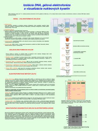 Izolácia DNA, gélová elektroforéza a vizualizácia nukleových kyselín