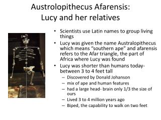 Austrolopithecus Afarensis : Lucy and her relatives