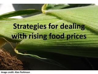 Strategies for dealing with rising food prices