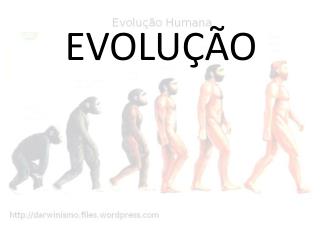 EVOLUÇÃO