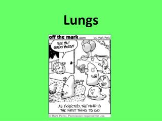 Lungs