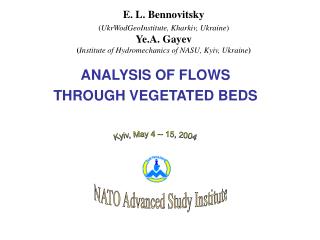 ANALYSIS OF FLOWS T H ROUGH VEGETATED BEDS