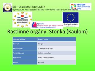 Rastlinné orgány: Stonka (Kaulom)