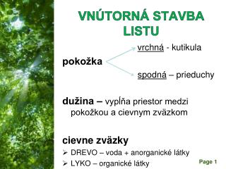 VNÚTORNÁ STAVBA LISTU