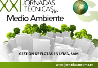 GESTION DE FLOTAS EN LYMA, SAM