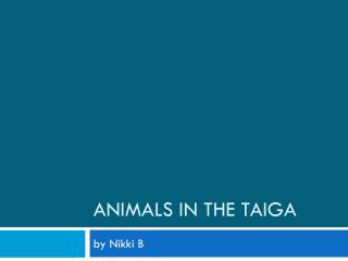 Animals In the Taiga