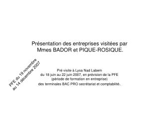 Présentation des entreprises visitées par Mmes BADOR et PIQUE-ROSIQUE.