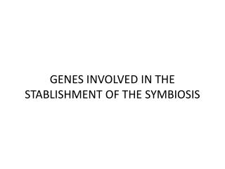 GENES INVOLVED IN THE STABLISHMENT OF THE SYMBIOSIS