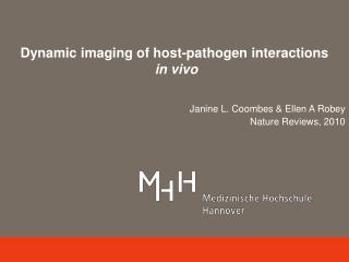Dynamic imaging of host-pathogen interactions in vivo
