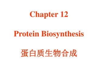 Chapter 12 Protein Biosynthesis 蛋白质生物合成