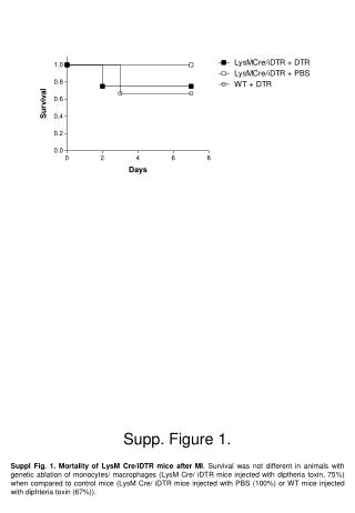 Supp. Figure 1.