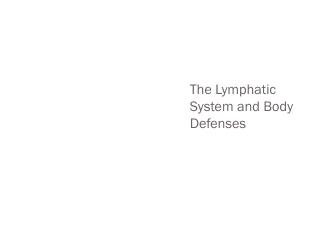 The Lymphatic System and Body Defenses