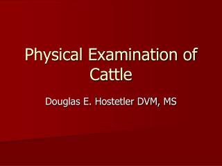 Physical Examination of Cattle