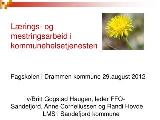 Lærings- og mestringsarbeid i kommunehelsetjenesten Fagskolen i Drammen kommune 29.august 2012