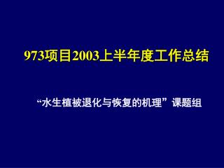 973 项目 2003 上半年度工作总结