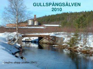 GULLSPÅNGSÄLVEN 2010