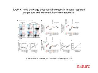 M Sasaki et al. Nature 000 , 1-4 (2012) doi:10.1038/nature11323