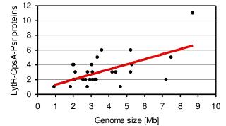 LytR-CpsA-Psr proteins