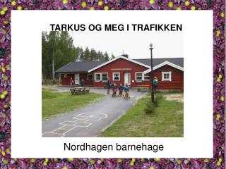 TARKUS OG MEG I TRAFIKKEN