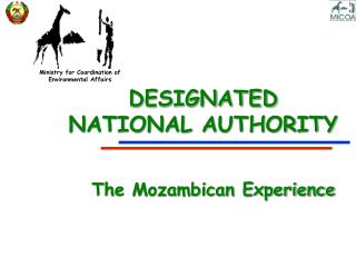 DESIGNATED NATIONAL AUTHORITY