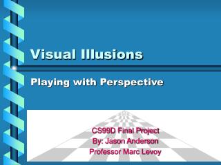 Visual Illusions