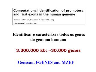 Computational identification of promoters and first exons in the human genome