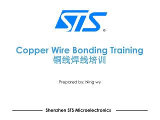 Copper Wire Bonding Training 铜线焊线培训