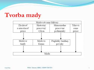 Tvorba mzdy