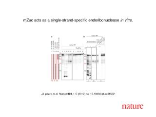 JJ Ipsaro et al. Nature 000 , 1-5 (2012) doi:10.1038/nature11502