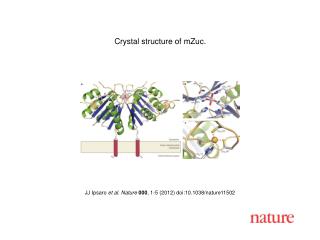 JJ Ipsaro et al. Nature 000 , 1-5 (2012) doi:10.1038/nature11502