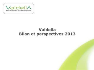 Valdelia Bilan et perspectives 2013