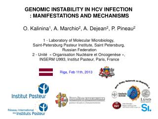 GENOMIC INSTABILITY IN HCV INFECTION : MANIFESTATIONS AND MECHANISMS