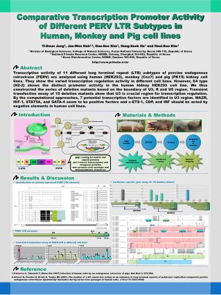 Comparative Transcription Promoter Activity of Different PERV LTR Subtypes in