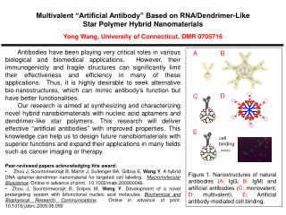 Multivalent “Artificial Antibody” Based on RNA/Dendrimer-Like Star Polymer Hybrid Nanomaterials
