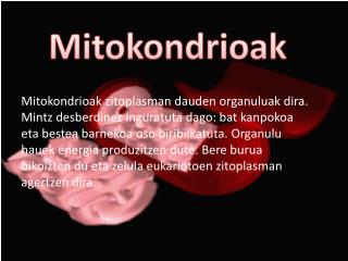 Mitokondrioak