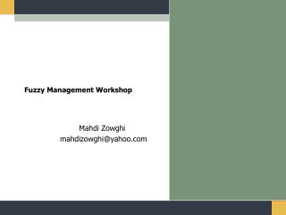 Fuzzy Management Workshop