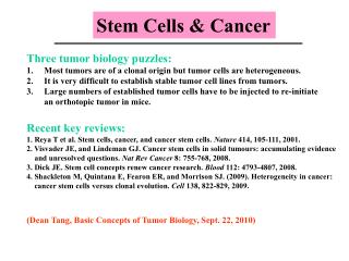 Stem Cells &amp; Cancer