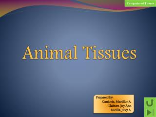 Animal Tissues