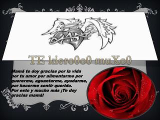 TE kiero0o0 muXo0
