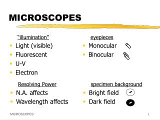 MICROSCOPES