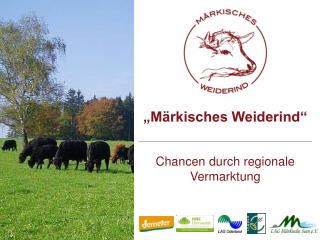 „Märkisches Weiderind“